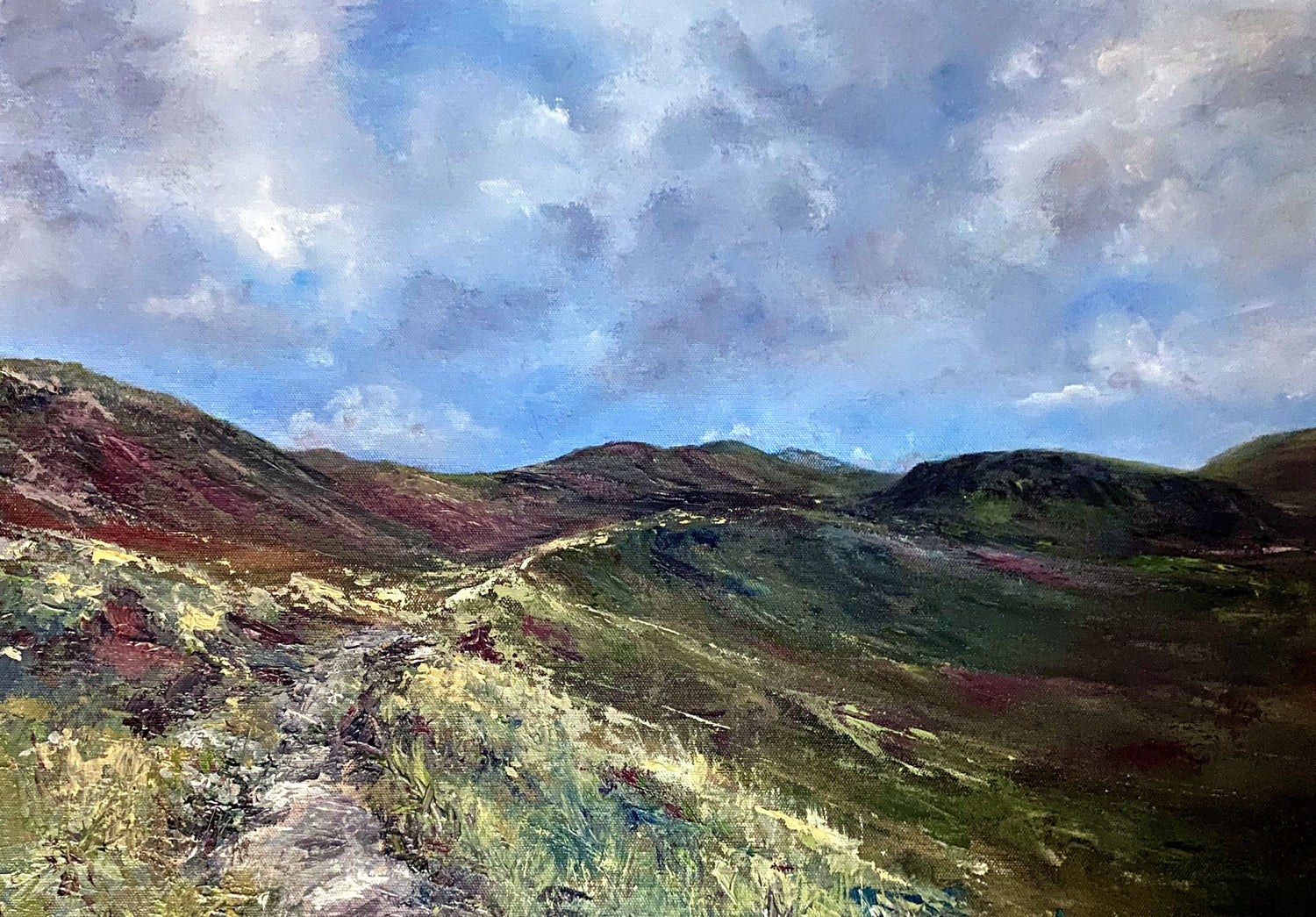 Mourne Mountains